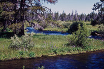 Doug & Kathy's Photos